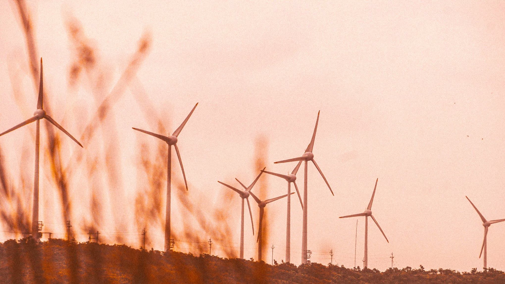 Sustainability & Eco Solutions
